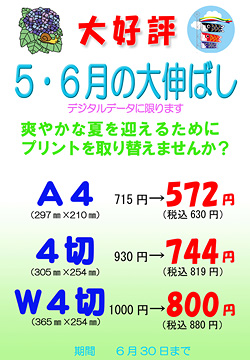 5月6月プリントフェア